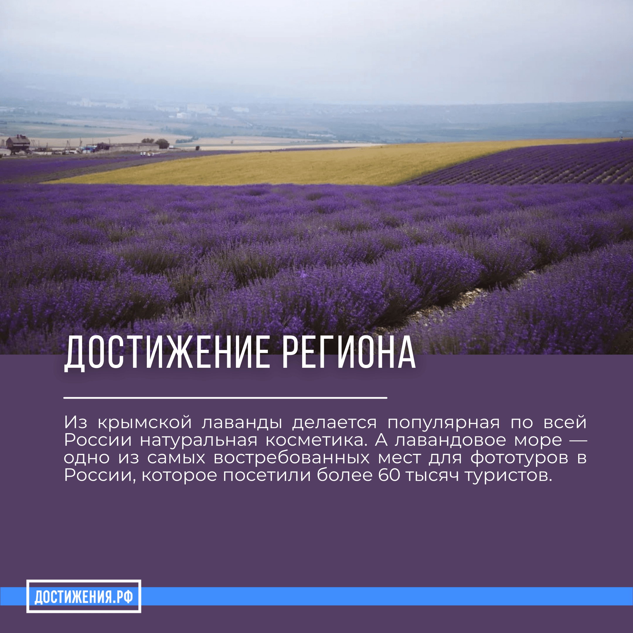 Достижения крыма за последние 10 лет. Достижения крыма. культурное достижения крыма. что означает лаванда на языке цветов.